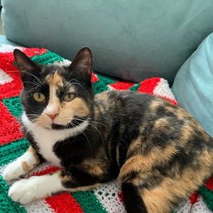 Meet your Posher, Janessa